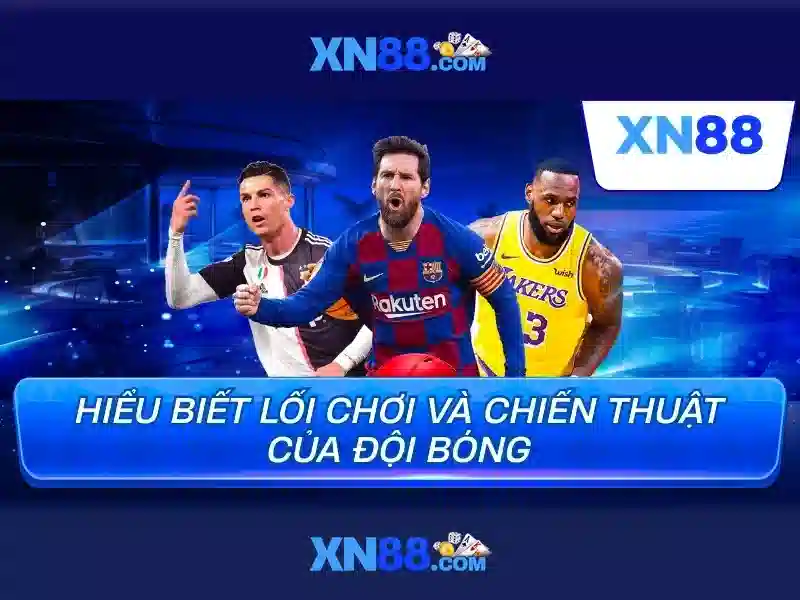 Hỗ trợ người dùng và dịch vụ khách hàng