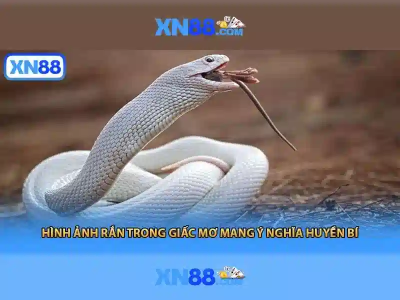 Tải app xn88 – Tổng quan chủ đề và giá trị cốt lõi