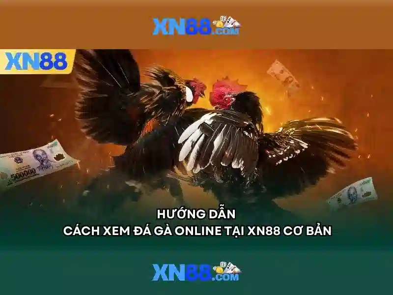 https://dadgarvakil.com/images/text/xn88/xn88-text2603121296.webp đăng nhập xn88 – tổng quan và giá trị cốt lõi