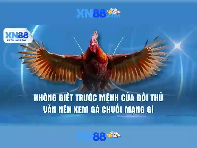 Hình ảnh liên hệ xn88