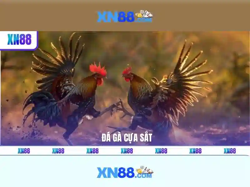 Giao diện nhà cái hoàn hảo