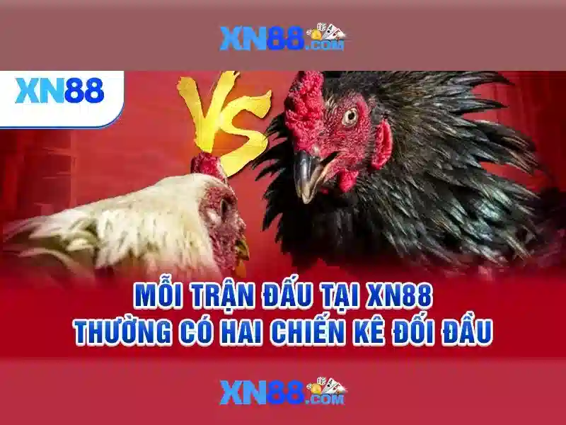 Sản phẩm và dịch vụ cốt lõi: ứng dụng xn88 vip