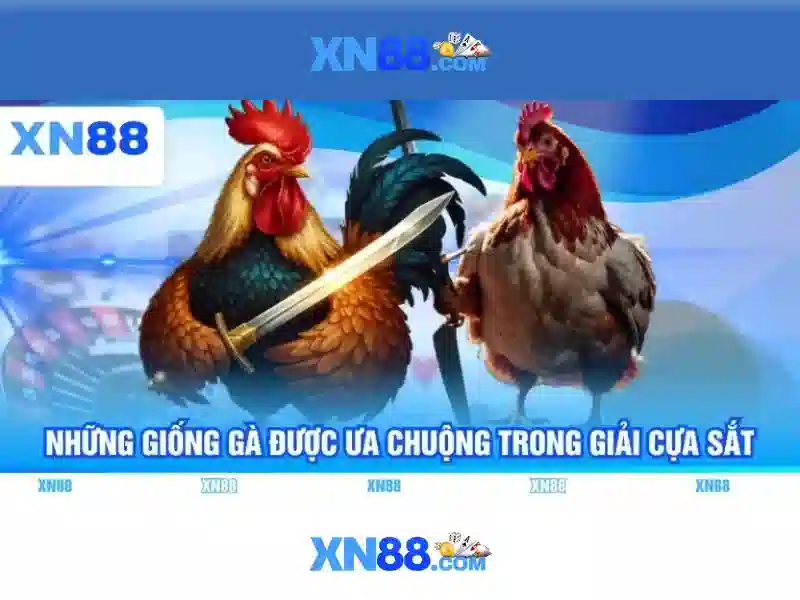 xn88 vip – Trải nghiệm đỉnh cao và niềm tin thương hiệu