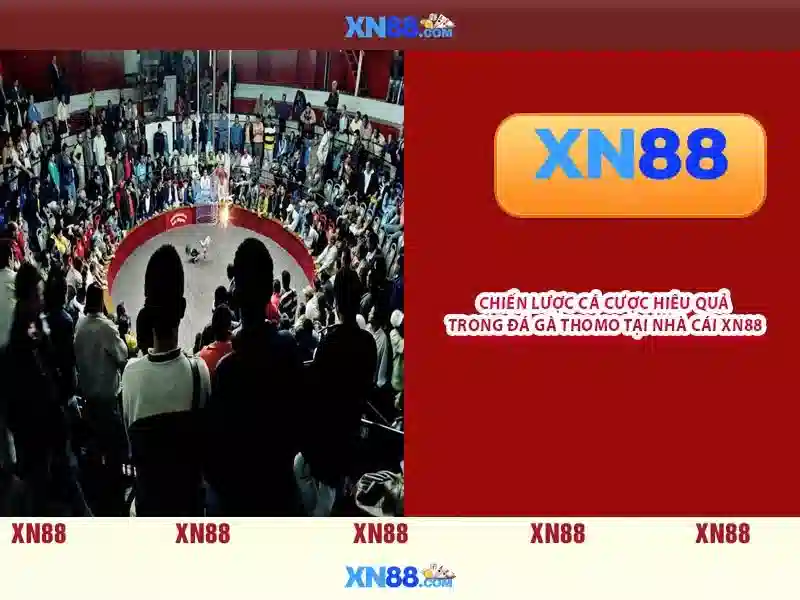 Sản phẩm và dịch vụ cốt lõi: ứng dụng xn88 google play