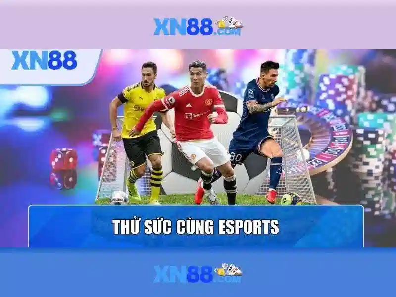 Giao diện nhà cái hoàn hảo