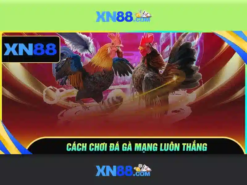 Giới thiệu về xn88