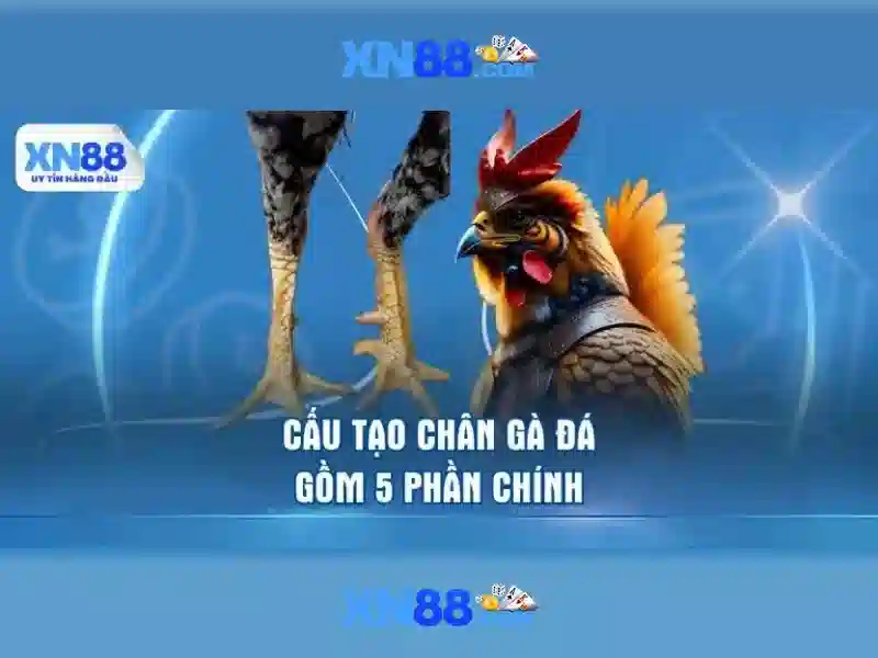 Dealer chia bài trực tiếp tại sòng bạc XN88 với chất lượng video 4K