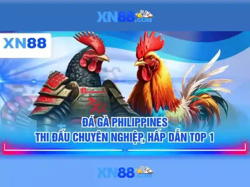 Giao diện nhà cái hoàn hảo