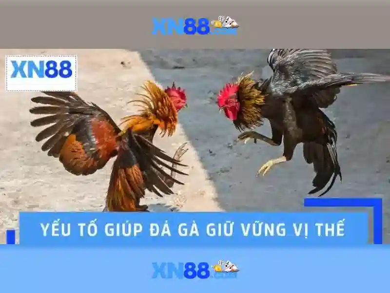 bandcamp bandcamp xn88 – Nền tảng âm nhạc số