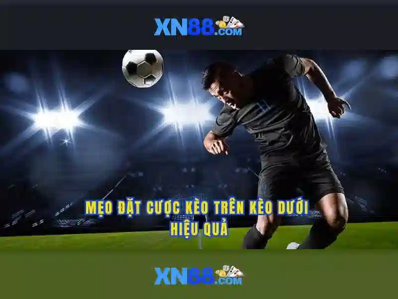 xn88 in.net – Tổng quan chủ đề và giá trị cốt lõi