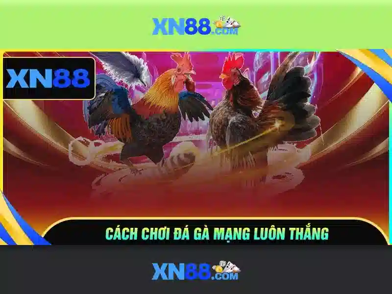 Giao diện nhà cái hoàn hảo