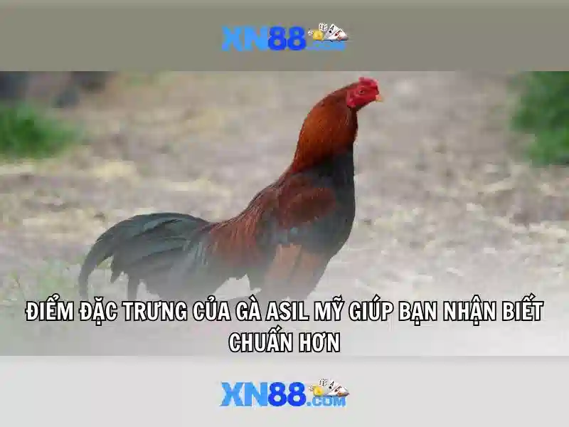 m1 xn88 – Tổng quan chủ đề và giá trị cốt lõi