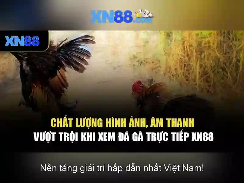 trang xn88 – Chủ đề tổng quan và giá trị cốt lõi
