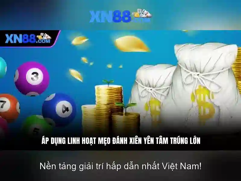 Trải nghiệm người dùng và phản hồi cộng đồng
