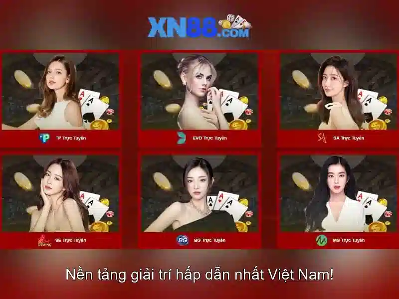 Giới thiệu về xn88