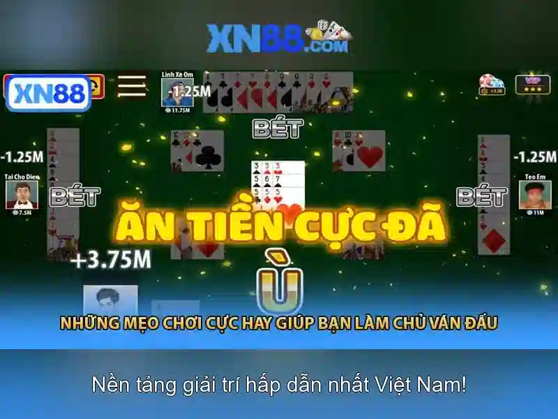 Hướng dẫn bắt đầu