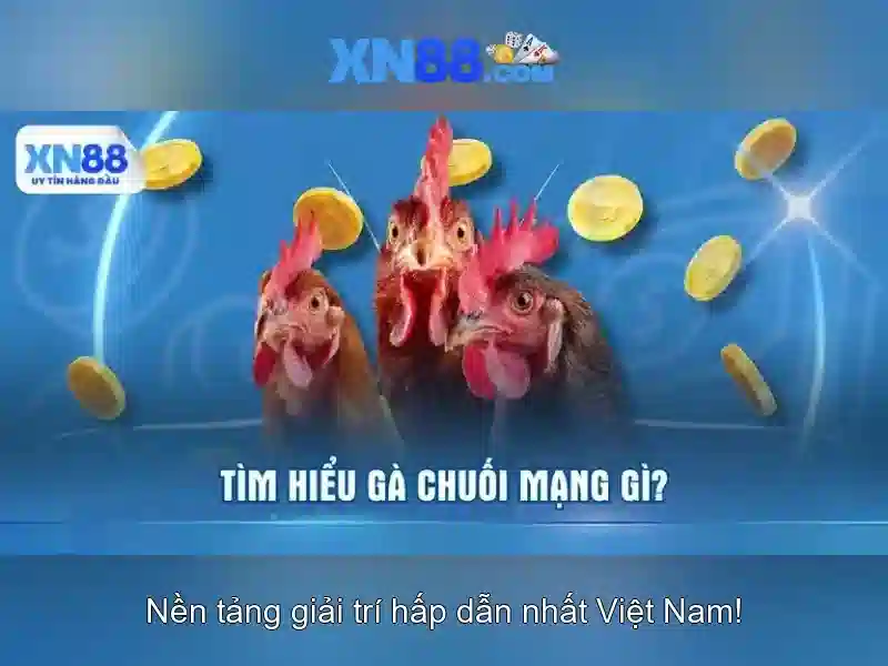xn88 ampleur.jp - Tóm lược chủ đề và giá trị cốt lõi