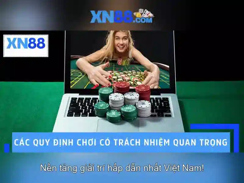 Trải nghiệm người dùng và phản hồi cộng đồng
