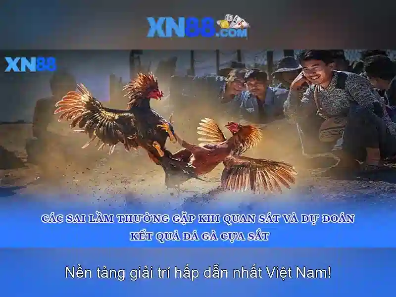 Các trò chơi và tính năng nổi bật