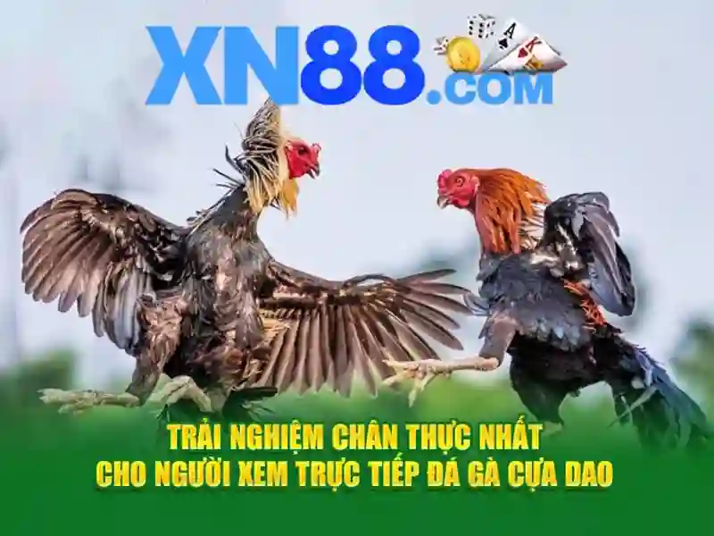 Giao diện nhà cái hoàn hảo